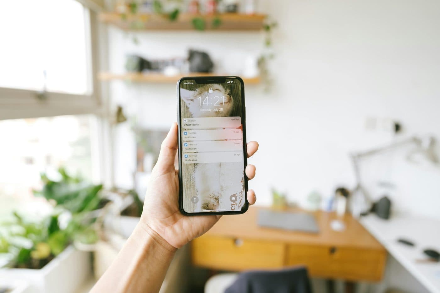 Push notifications
